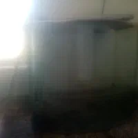 آکواریوم بزرگ حلال