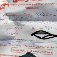 گوشواره میخی F