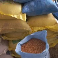 ذرت درجه یک