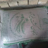 لوبیا قرمز
