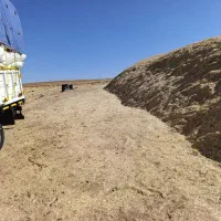 کاه گندم ریز و درجه یک