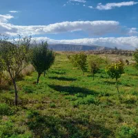 زمین زراعی|فروش زمین و ملک کلنگی|بازرگان, |دیوار