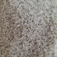 برنج هاشمی لاشه