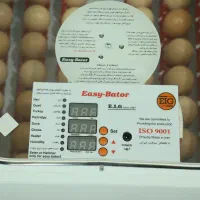 جوجه کشی 48 عددی +اینورتر|لوازم جانبی حیوانات|کرمان, |دیوار