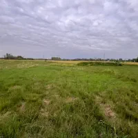 زمین مسکونی ۲۷۷متری با پروانه ی ساخت ۸۵متری|فروش زمین و ملک کلنگی|لشت نشا, |دیوار