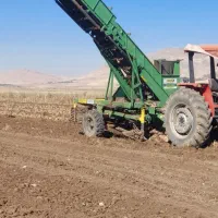 بارکن چغندرتاکا