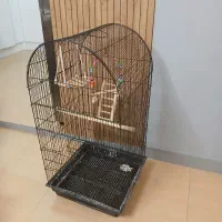 قفس پرنده بزرگ و کوچک