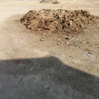 کود حیوانی (پشکل)