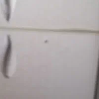 یخچال فریز بدون برفک Lg