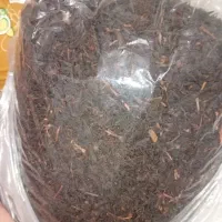 چای بهاره|خوردنی و آشامیدنی|کرج, حصارک بالا|دیوار