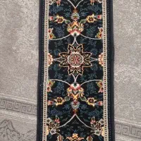 پادری نو
