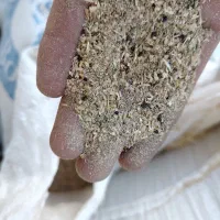 ذرت جو سویا خوراک تفاله چغندر سبوس یونجه|عمدهفروشی|جرقویه, |دیوار