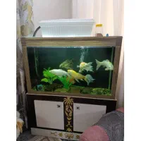 آکواریوم با لوازم و ماهی