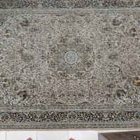 فرش  شش متری|فرش|تهران, آهنگران (سراسیاب دولاب)|دیوار