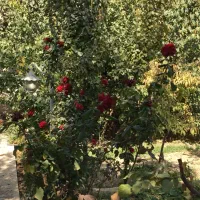 فروش ویلایی تنگک سوم