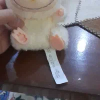 لبوبو|اسباب‌بازی بچه|تبریز, |دیوار