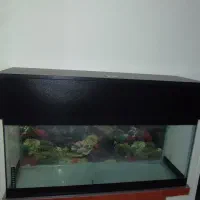 آکواریوم با پایه به همراه تمامی وسایل