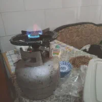 پیک نیک کاملا سالم