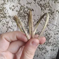 النگو طلاروس|بدلیجات|ساری, |دیوار