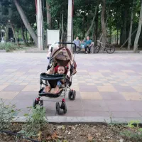 کالسکه وروروهک