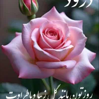 جذب نیروی خانم بازیگر،و مسلط به یوتیوب و اینستا