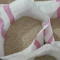 فروش برنج هاشمی