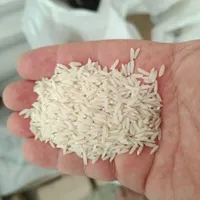برنج طارم و شیرودی|خوردنی و آشامیدنی|قم, انسجام|دیوار