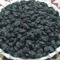 مویز کشمش بی دانه ی سیاه|خوردنی و آشامیدنی|بجنورد, |دیوار