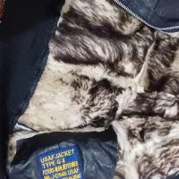 کاپشن بوفالو چرمی|لباس|اردبیل, |دیوار