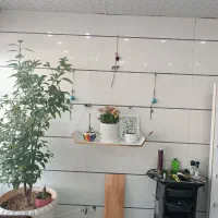 اجاره یک باب مغازه