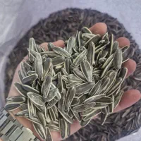 تخمه آفتاب گردان 200دانه