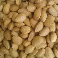 برگه زردآلو .بادام و لواشک|خوردنی و آشامیدنی|تهران, امیر بهادر|دیوار