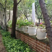 آبیاری قطره ای