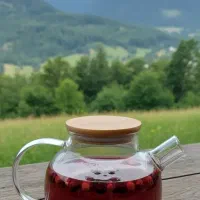 قوری پیرکس قیمت مناسب