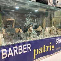 آکواریوم شیشه خم|ماهی|نهاوند, |دیوار