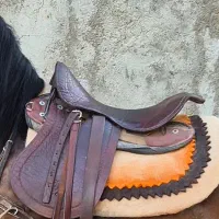 زین عبدالخالق