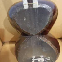 تار حرفه ای طاووسی