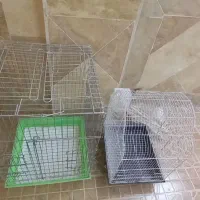قفس ۱۰۳۳