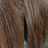 موخوره گیری