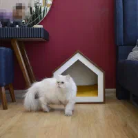 جای خواب گربه