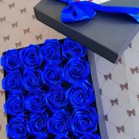 شیک هدیه بده|ساعت|رشت, رشتیان|دیوار