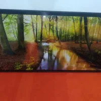 تابلوچراغ داربا کارتن موز