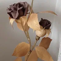 گل کنار سالنی