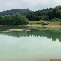 فروش زمین کنار دریاچه و جنگل از ۱۲۰ متر تا ۱۰۰۰متر|فروش زمین و ملک کلنگی|محمودآباد, |دیوار