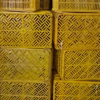 سبد مادر|ظروف نگهدارنده، پلاستیکی، یک‌بارمصرف|محمدشهر, زیبادشت|دیوار