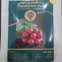 بذر تربچه