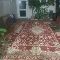 اجاره ۵۰ت ماهی ۶ت