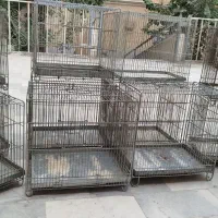 قفس سهره و قناری