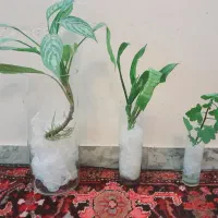 گلدان|صنایع دستی و سایر لوازم تزئینی|تهران, علم و صنعت|دیوار