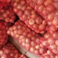 پیاز سورت شده